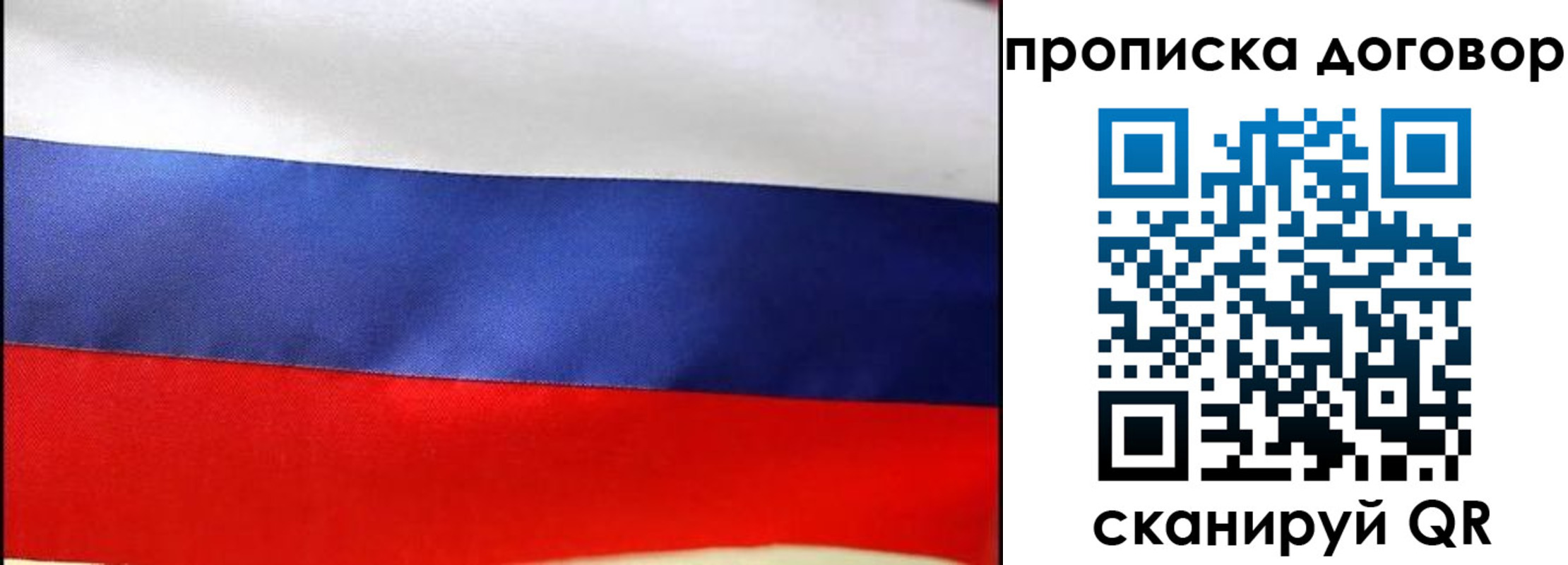 прописка гарантия в Амурске